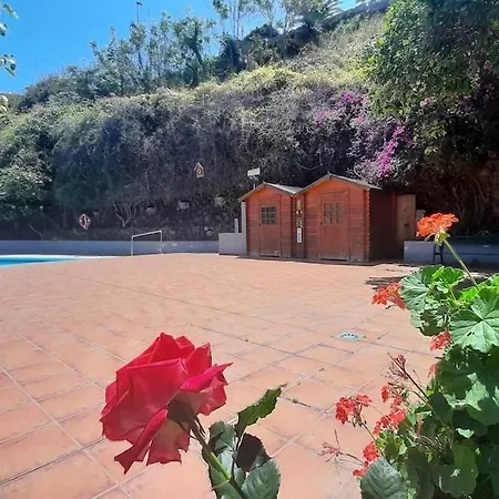 아파트 Moderno Con Vistas En *